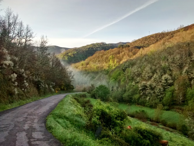 One of the most beautiful parts of the Camino is at the end, in the province of Galacia. 